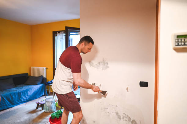 Best Bathroom Mold Remediation in Phenix City, AL